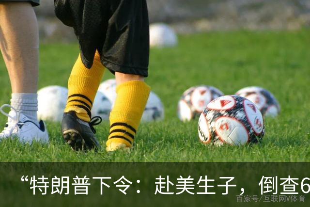 “特朗普下令：赴美生子，倒查6年”