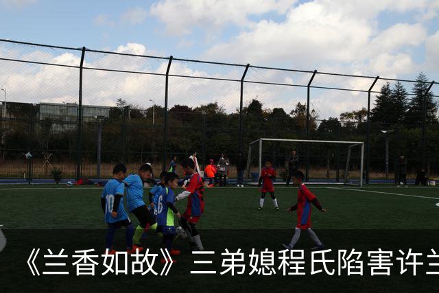 《兰香如故》三弟媳程氏陷害许兰香，林锦岐确认兰香就是沈嘉兰