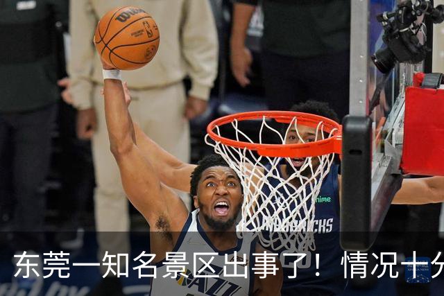 东莞一知名景区出事了！情况十分危急……