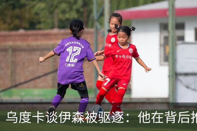 乌度卡谈伊森被驱逐：他在背后推人了 二级恶犯的判罚我挺意外的