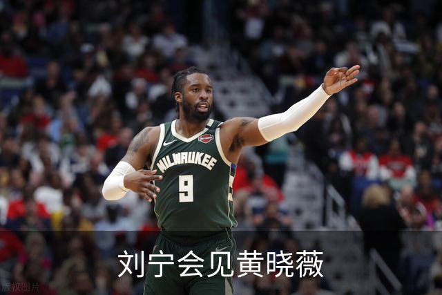 刘宁会见黄晓薇