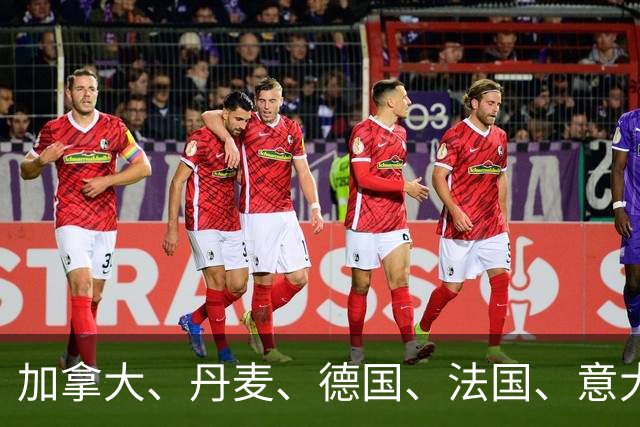 加拿大、丹麦、德国、法国、意大利、日本、荷兰、英国，发表联合声明