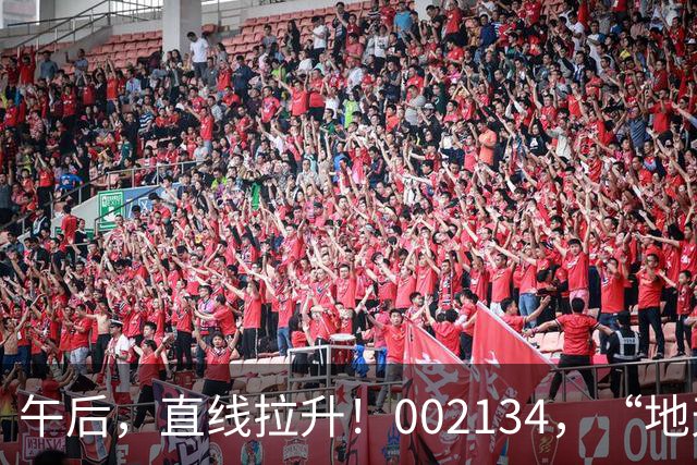 午后，直线拉升！002134，“地天板”