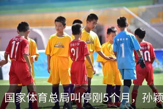 国家体育总局叫停刚5个月，孙颖莎出手，她走上了王楚钦“老路”