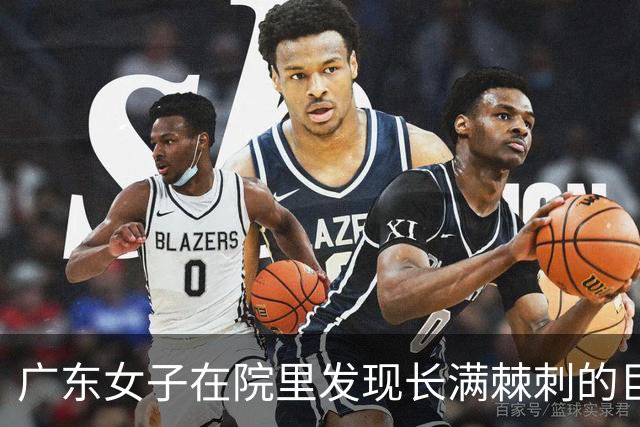 广东女子在院里发现长满棘刺的巨蜥，嫌弃其恶心，网友却说：一只好几万呢！