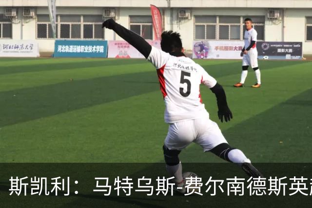 斯凯利：马特乌斯-费尔南德斯英超最难对付，当时他在西汉姆