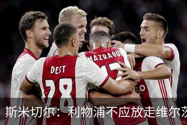 斯米切尔：利物浦不应放走维尔茨，应给他更多适应时间