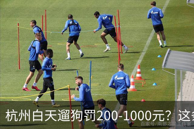 杭州白天遛狗罚200-1000元？这条规定 把养狗人和不养狗人都吵翻了
