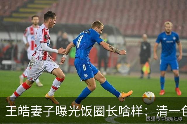 王皓妻子曝光饭圈长啥样：清一色女粉！反被扣上签MCN捞金帽子