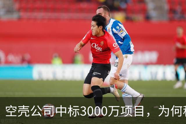 空壳公司中标3000万项目，为何程序严谨而结果荒诞
