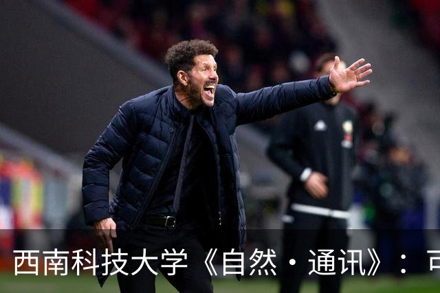 西南科技大学《自然·通讯》：可控释放聚合打造稳健凝胶电极，锂硫电池实用化迈出关键一步