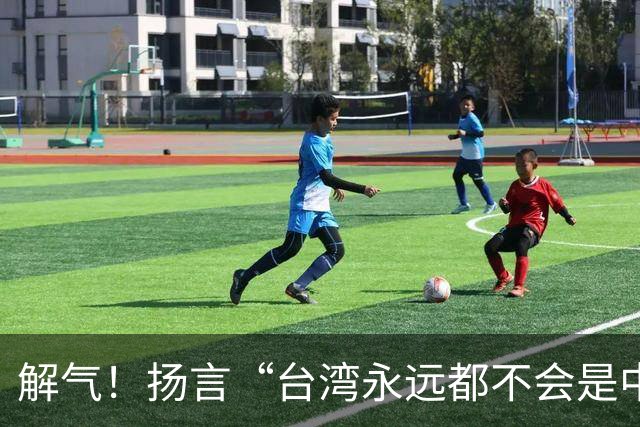 解气！扬言“台湾永远都不会是中国的一部分”，她被明星当众掌掴