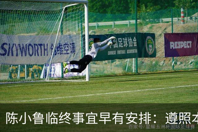 陈小鲁临终事宜早有安排：遵照本人意愿尊严离世，因病突发遗愿未能实行