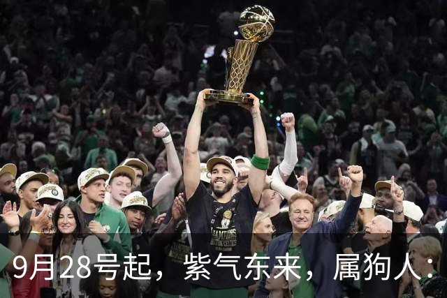 9月28号起，紫气东来，属狗人：人在家中坐，财从天上来