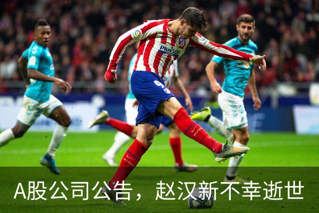 A股公司公告，赵汉新不幸逝世